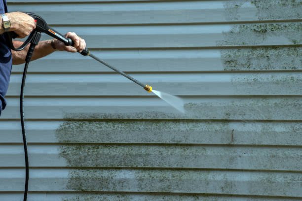 Best Solar Panel Cleaning  in Aromas, CA